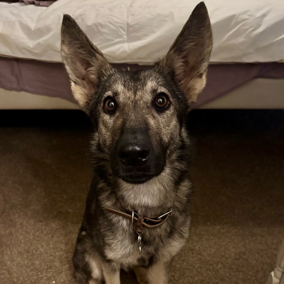 Meet Your Seller/ Buyer. 👑🎀✨💕😊 - Picture 4 of 4